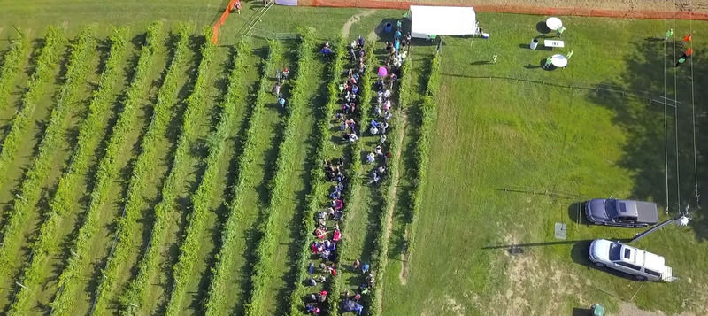 A Day in the Life of Spyglass Winery Concerts: Valley backyard party packs in 3,000 screaming fans